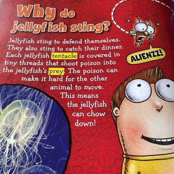 Fly Guy Presents Why Fly Guy? A Big Question & Answer Book by Tedd Arnold - Picture 5 of 10